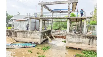 تقليل التكاليف لضمان نجاح محصول الأرز في فصلي الصيف والخريف.